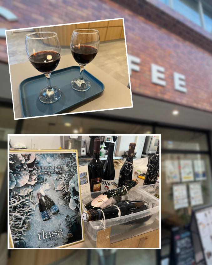 Wine Tasting in Amami City
