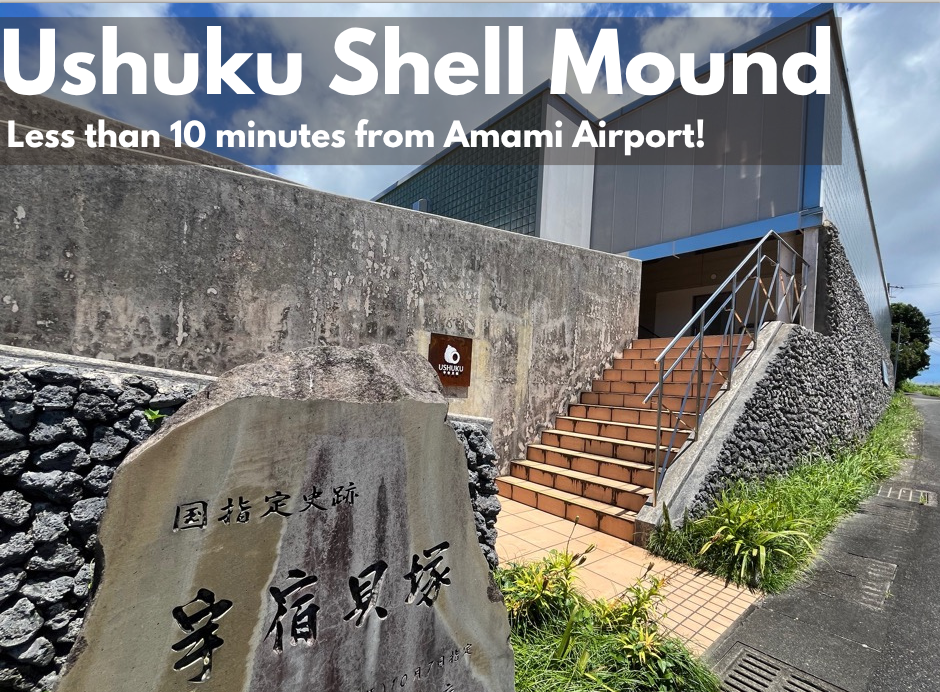 Archaeology in Amami: the Ushuku Shell Mound